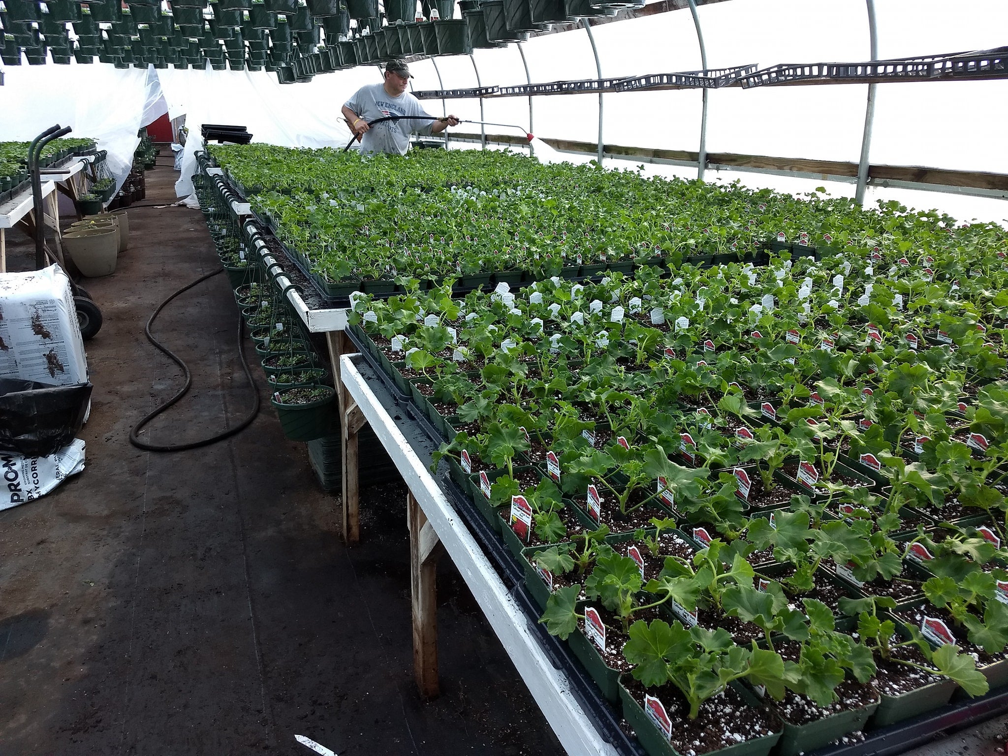 Our Plants Farmfield Greenhouses 367 Carl Broggi Hwy Lebanon